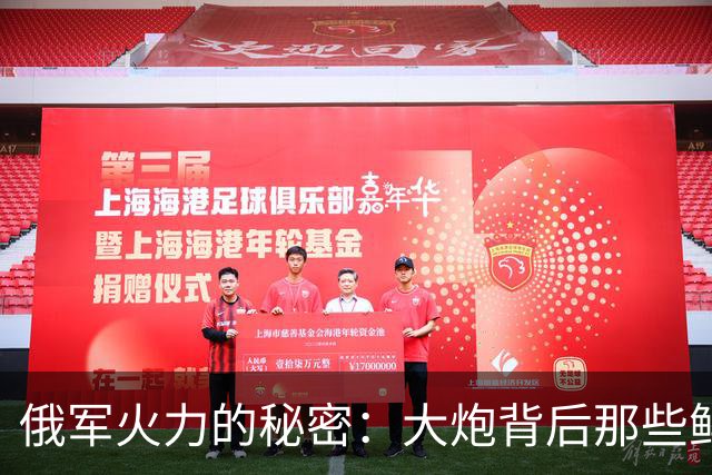 俄军火力的秘密：大炮背后那些鲜为人知的故事
